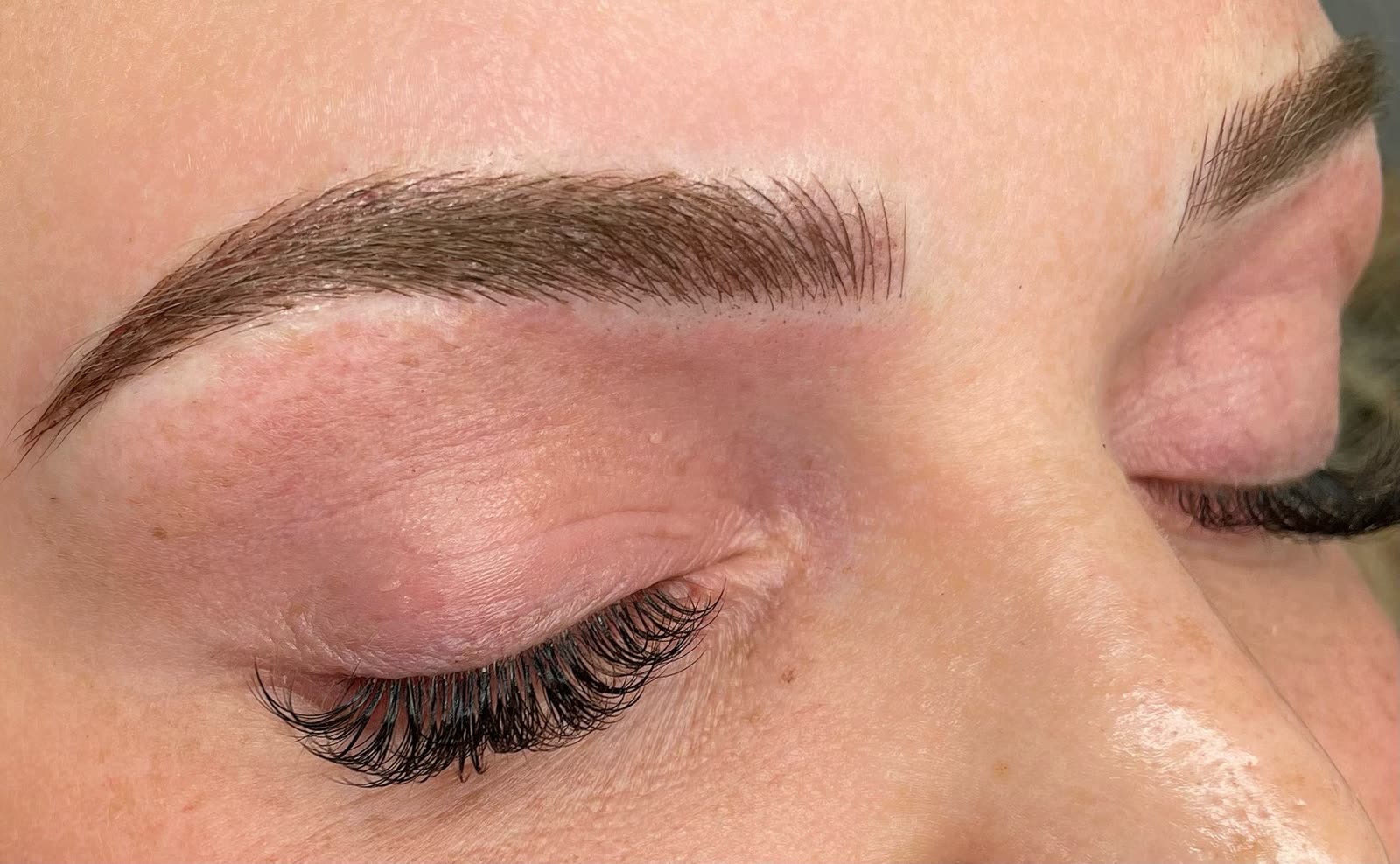Brow Lounge healed work — image 33
